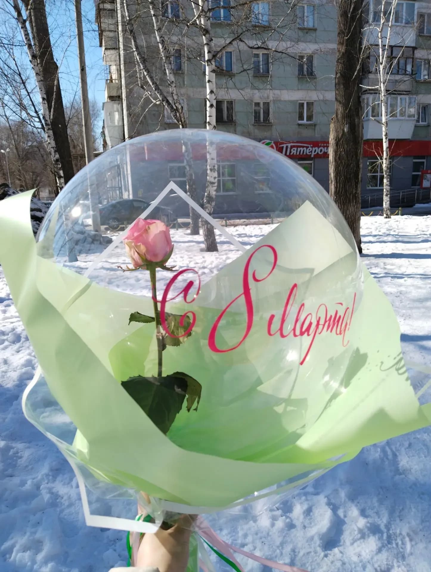 Шар-баблс с живой розой на 8 Марта